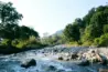 Corbett Booking