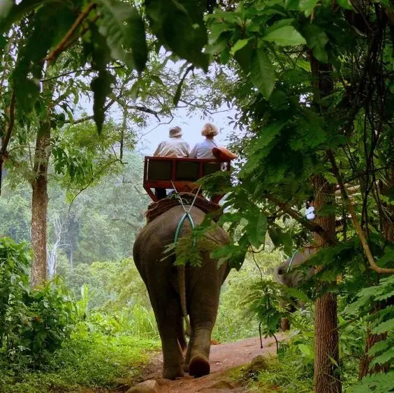 Corbett Booking