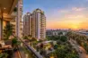 Elevate Homes