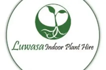Luwasa Indoor Plant Hire