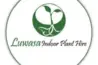 Luwasa Indoor Plant Hire
