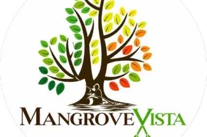 Mangrove Vista
