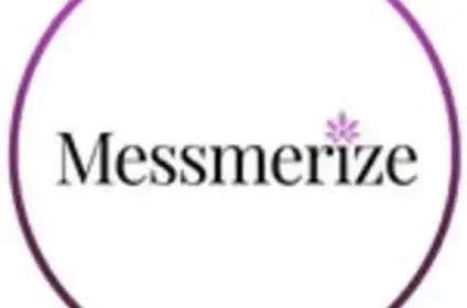 Messmerize India Professional Organising Services