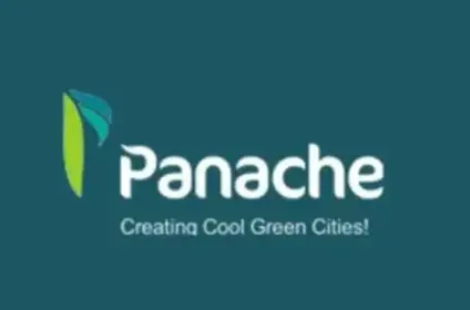 Panache Green