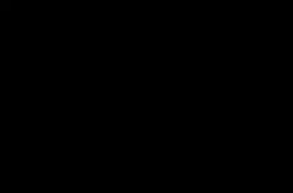 patasi cashmere