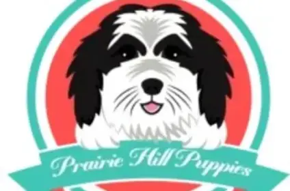 Prairie Hill Puppies