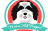 Prairie Hill Puppies