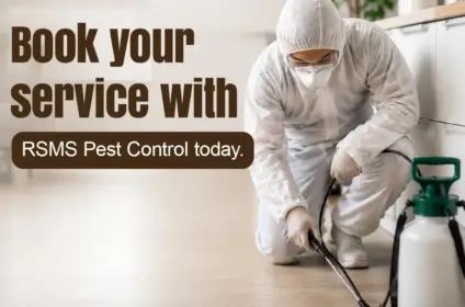 r s maintenance services & pest control