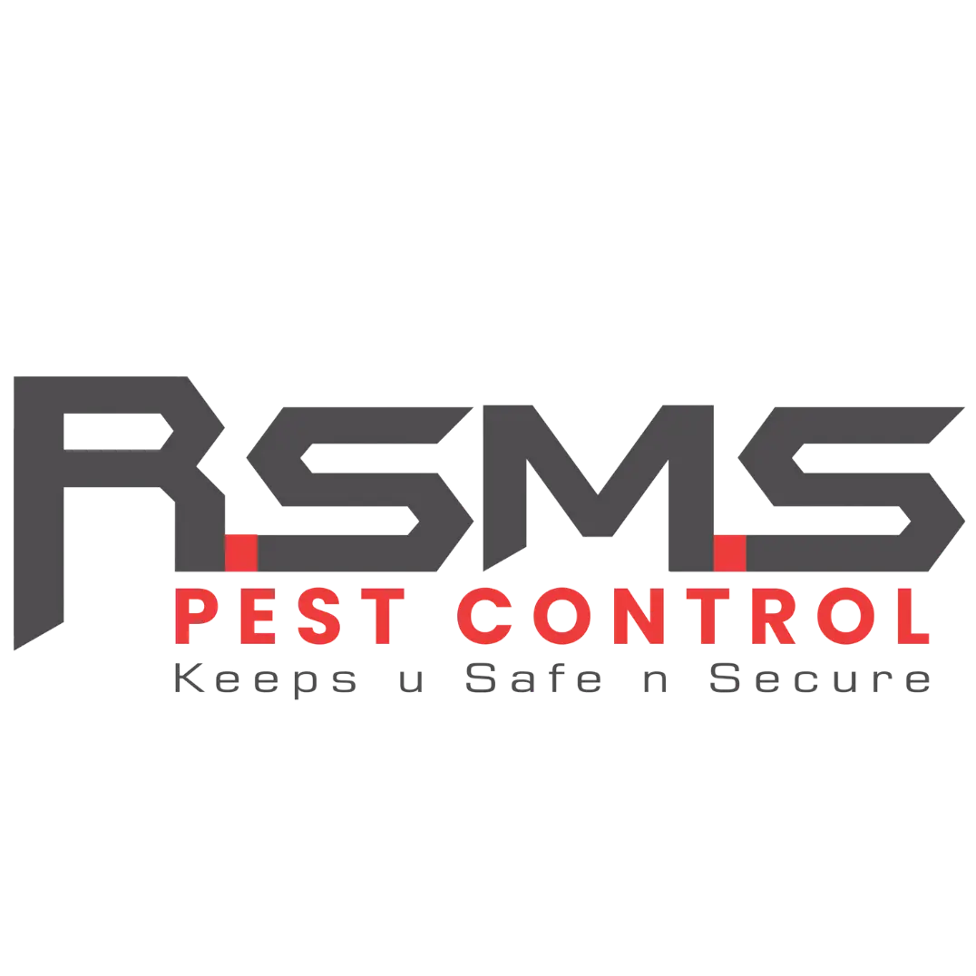 R S Maintenance Services & Pest Control