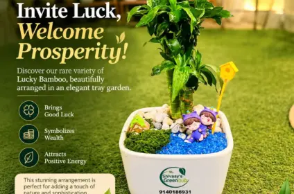 Shivaay's Green Hub