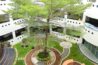 shree niketan school