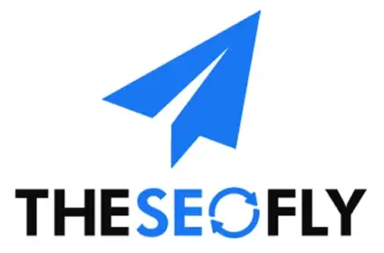 The SEO Fly