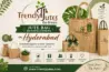 Trendy Jutes