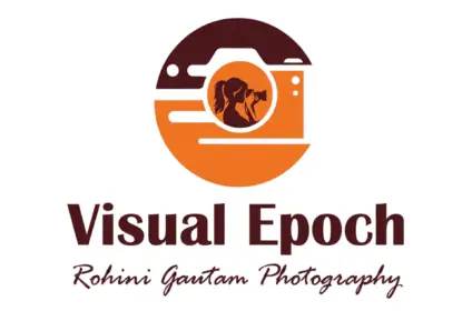 Visual Epoch